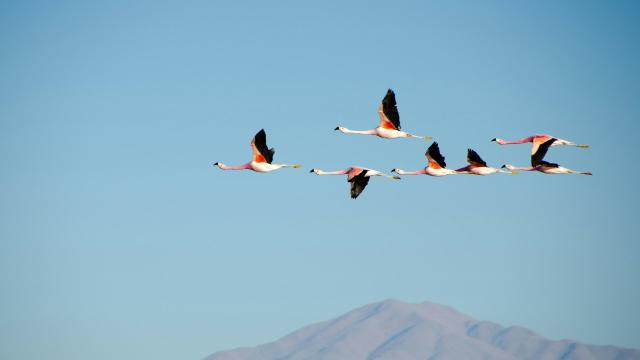 Joining the R Community