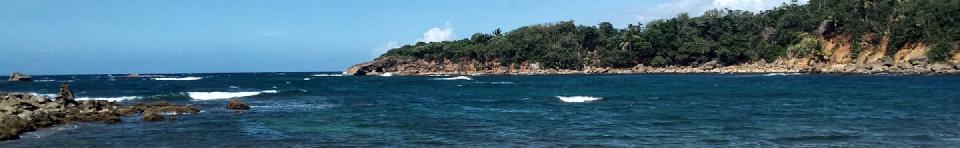 Finding Errors in Data Analyses