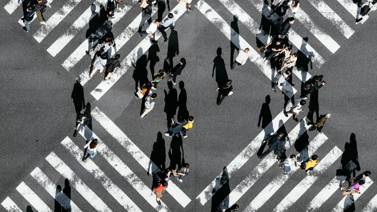 `purrr::walk()` this way