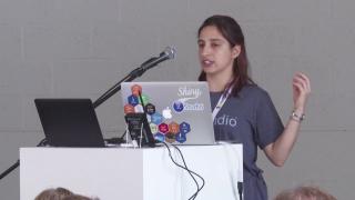 Interacting with Databases by Bárbara Borges from Shiny from useR! Brussels 2017